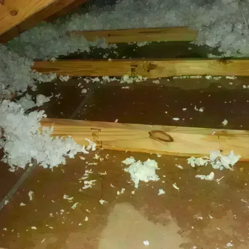 Attic Water Damage in Mountain Home, NC